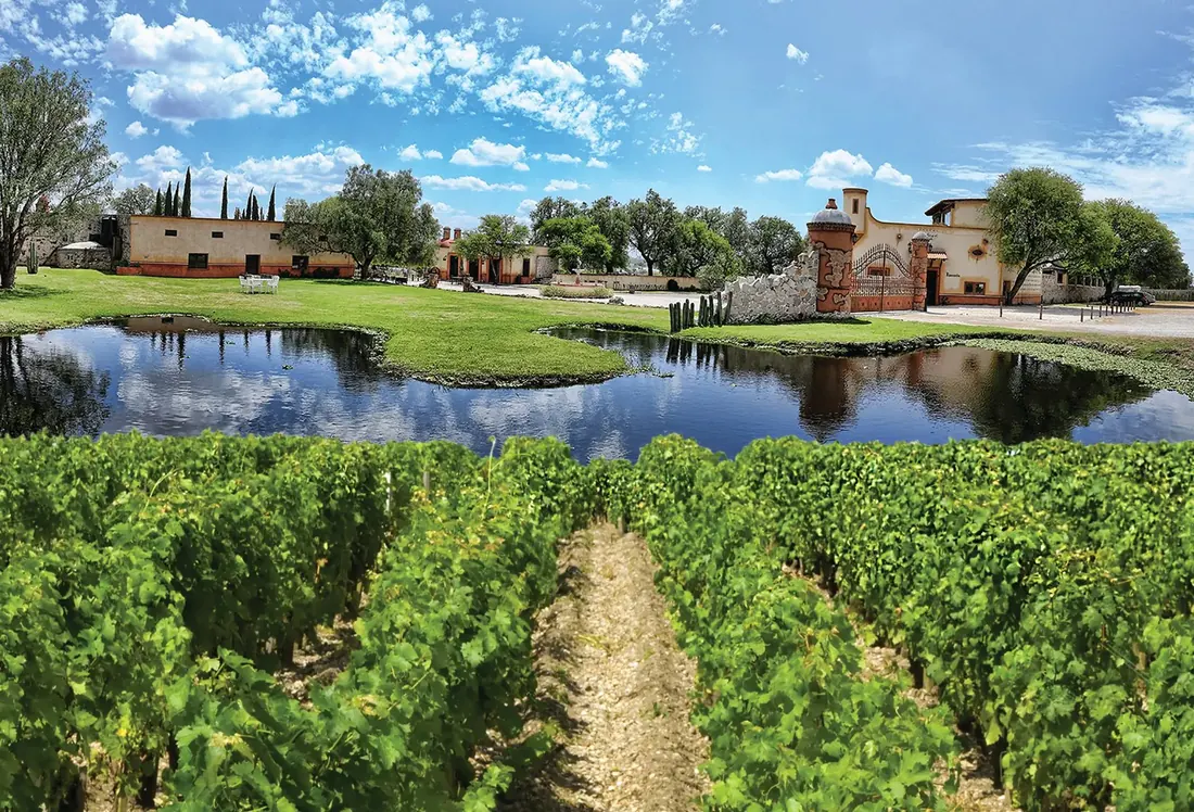 Viñedos y hacienda en Querétaro